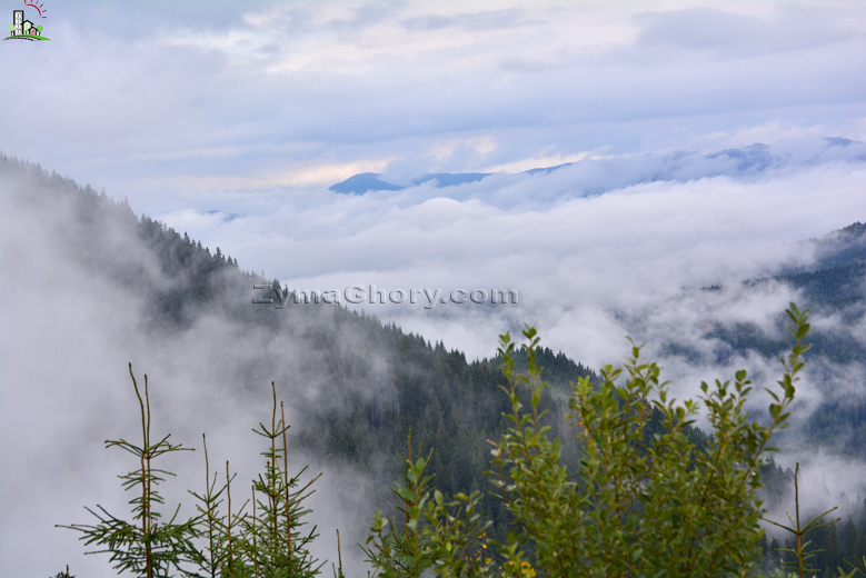 Photo: Fog in the mountains