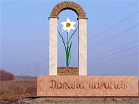 Narcissuses Valley in Khust