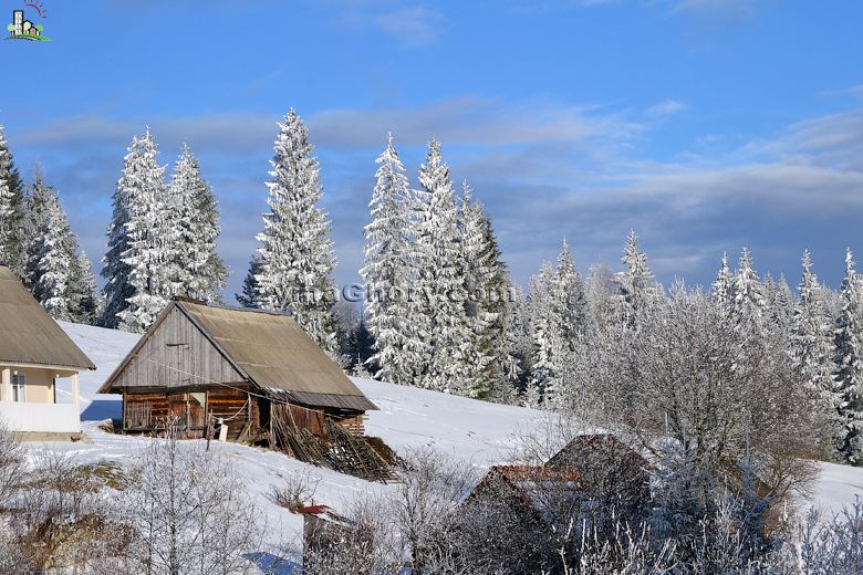 Карпаты зима Хижина