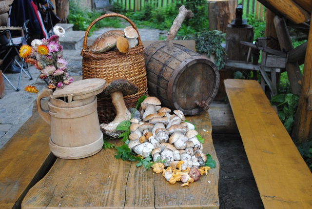 5. Mushrooms. "The Artist's House" in Synevyrska Polyana