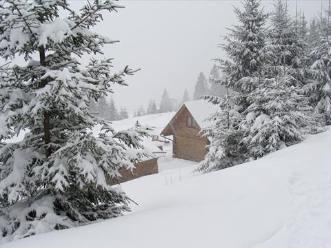 Відпочинок в Пилипці, Новий рік 2014 та Різдво в Карпатах